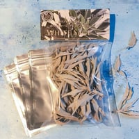 スーパープレミアム・ホワイトセージリーフ 40g（最上級プレミアムAAAリーフからさらに選別/カリフォルニア産/野生/無農薬/ジッパーバッグ3枚付き）1個