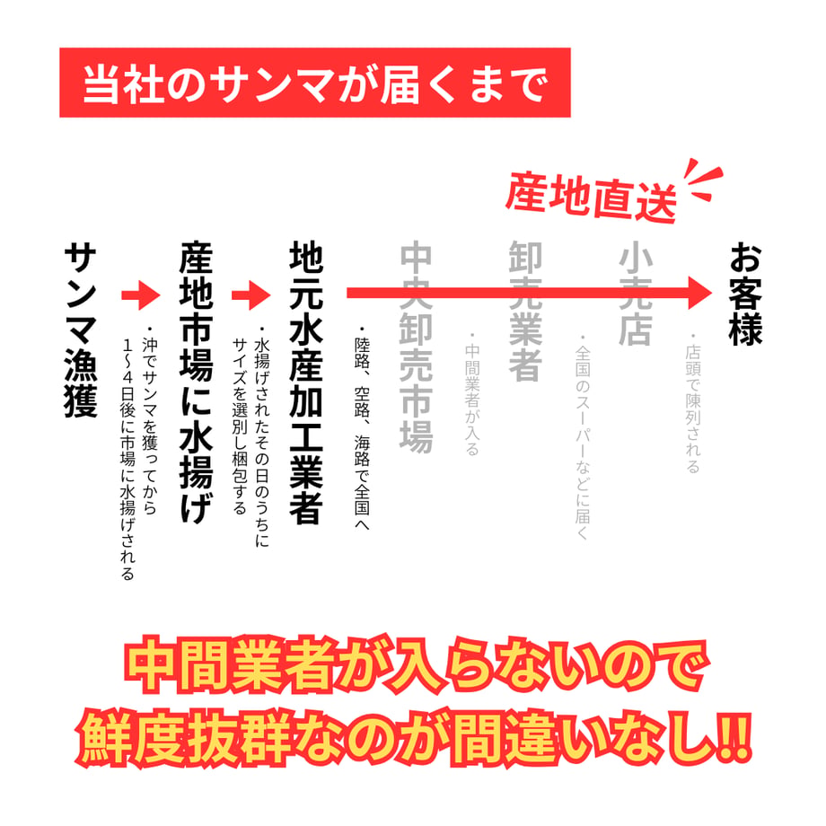 64efe19a057a680033c25d51