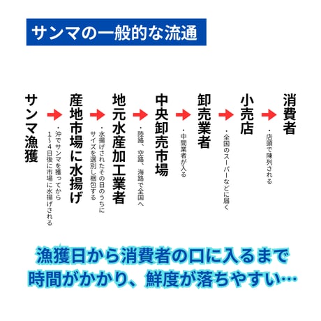 【北海道根室産】鮮さんま　2kg14尾前後（大サイズ）※2026年8月頃販売開始予定