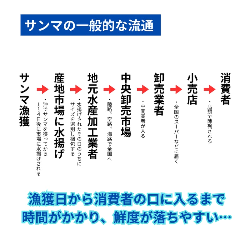 北海道根室産】鮮さんま 2kg11尾前後（特大サイズ）※2026年8月頃販売