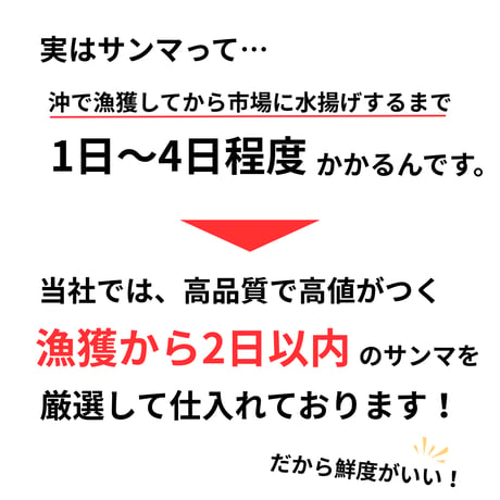【北海道根室産】鮮さんま　4kg35尾前後（中サイズ）※2026年8月頃販売開始予定