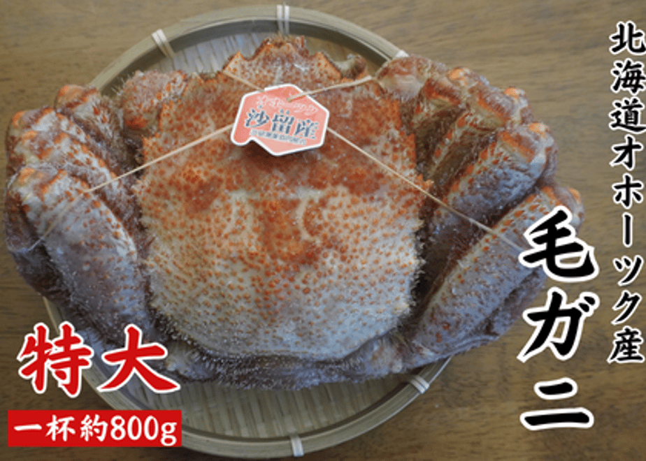 654dc7c6bb9777002c9c950e