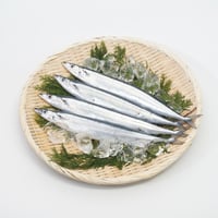 【北海道根室産】鮮さんま　2kg11尾前後（特大サイズ）※2026年8月頃販売開始予定