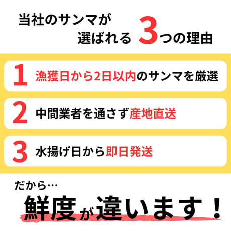 【北海道根室産】鮮さんま　2kg14尾前後（大サイズ）※2026年8月頃販売開始予定