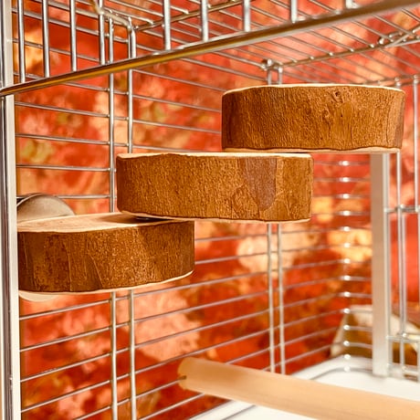 【現在入手困難 新品】三本木 森兵衛 A+Ω 美品 観賞 登り木 止まり木 美術出版社より彫刻家・大森暁生の作品と言葉を一冊に収めた書籍