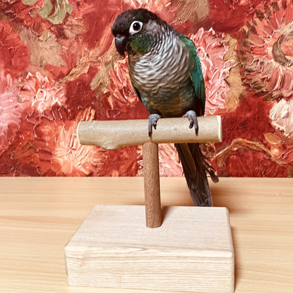 K-① スタンドパーチ（中型さん向け） | 工房 ひよりの森