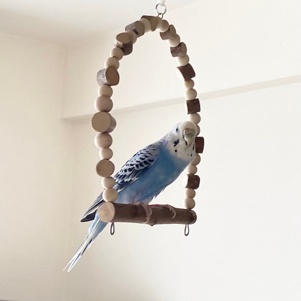 ⑪ 天然木ブランコ りんご 中 | 工房 ひよりの森