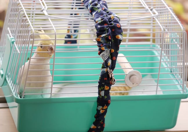 工房 ひよりの森