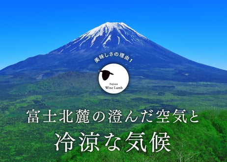ボリューム満点！！ワインラム粗挽きジャンボソーセージ 300g