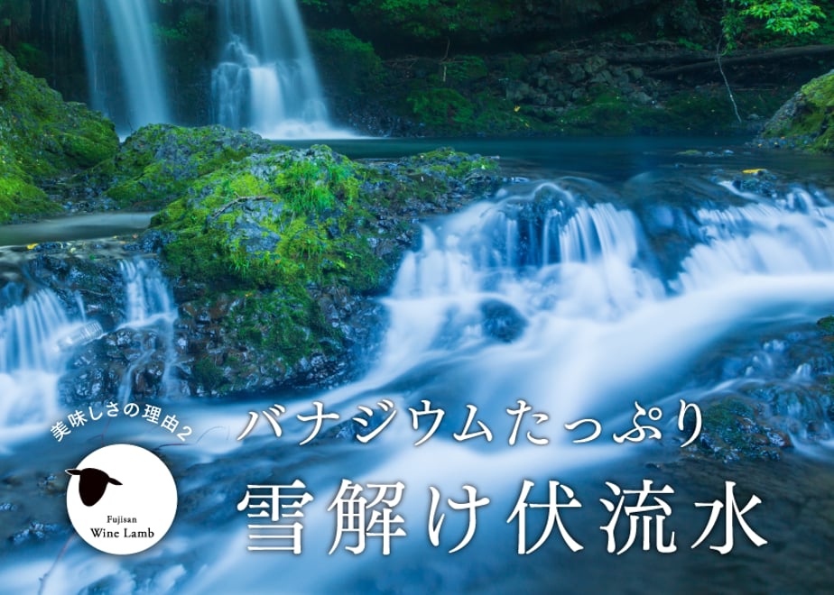 6344fa57211ac3382d50fb17