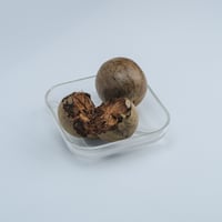 羅漢果