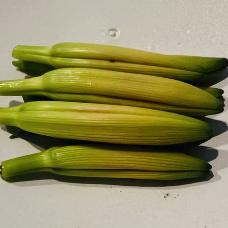 金針菜（黄花菜）