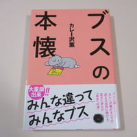【バーゲンブック】ブスの本懐