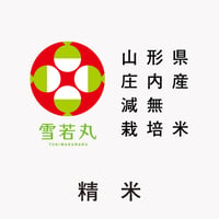 令和7年産 山形県庄内産 減無栽培米「雪若丸」