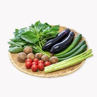 ［iinoブランド］食の都庄内  野菜セット