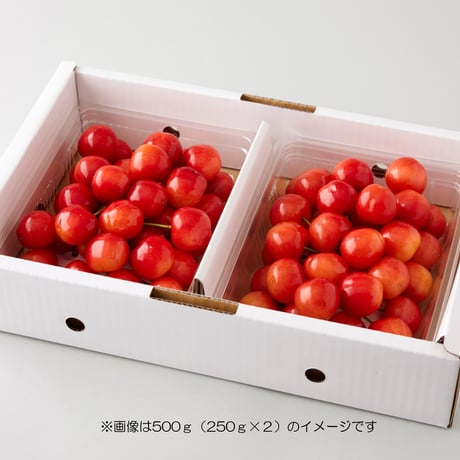 ♪予約受付スタート♪　山形県庄内産さくらんぼ