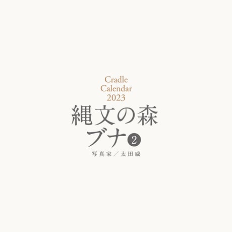 【Bコース】Cradle個人サポーター