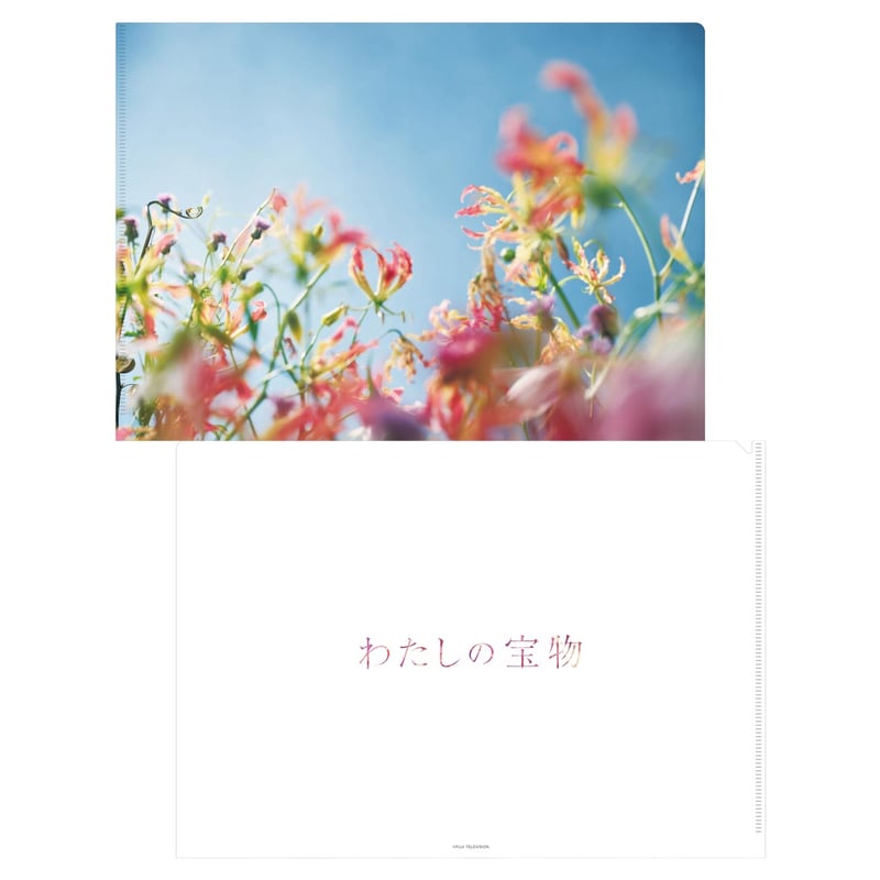 わたしの宝物 グッズ3点セット しおり・クリアファイル