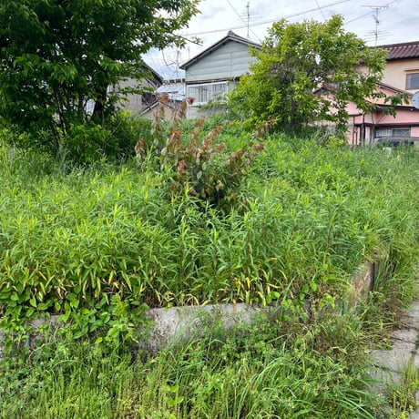 敷地と建物一切合切を聖なるエネルギー化作戦 草刈りの巻