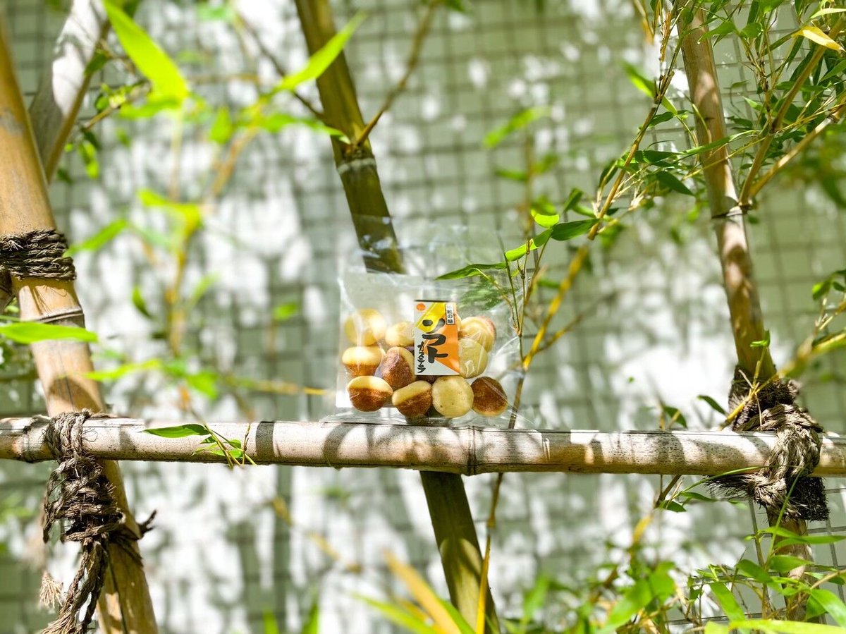 お試し鈴かすてら | 朝見の鈴