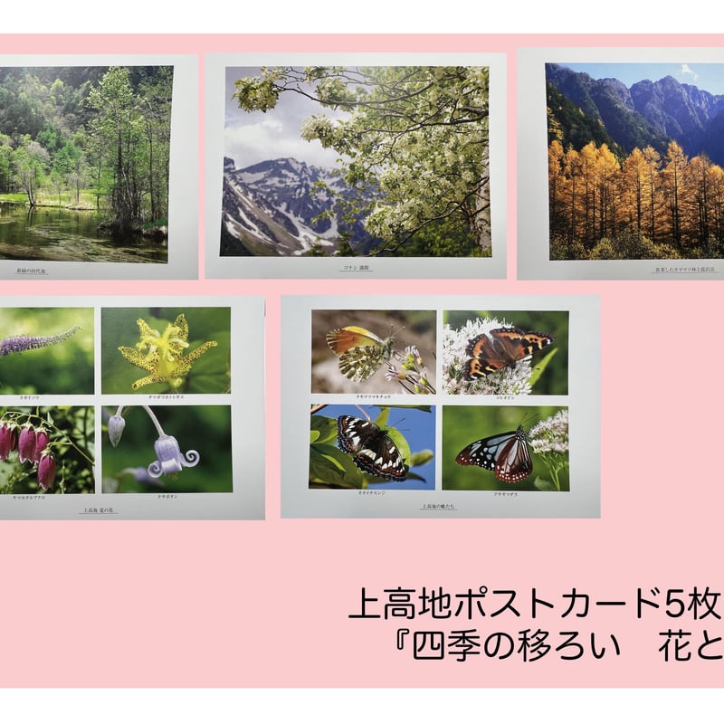 オリジナルポストカード【上高地 四季の移ろい花と樹】 5枚セット 