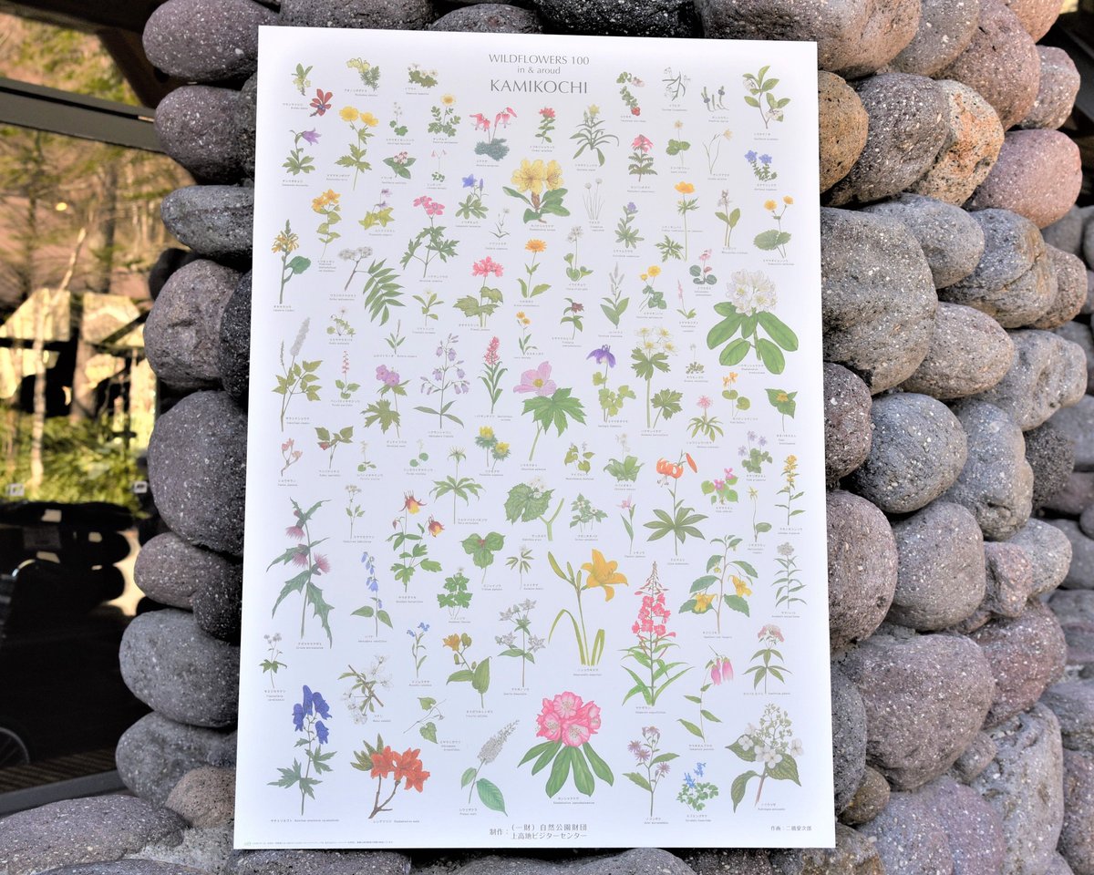 上高地の花 100 ポスター A1サイズ | Natural Parks Foundation