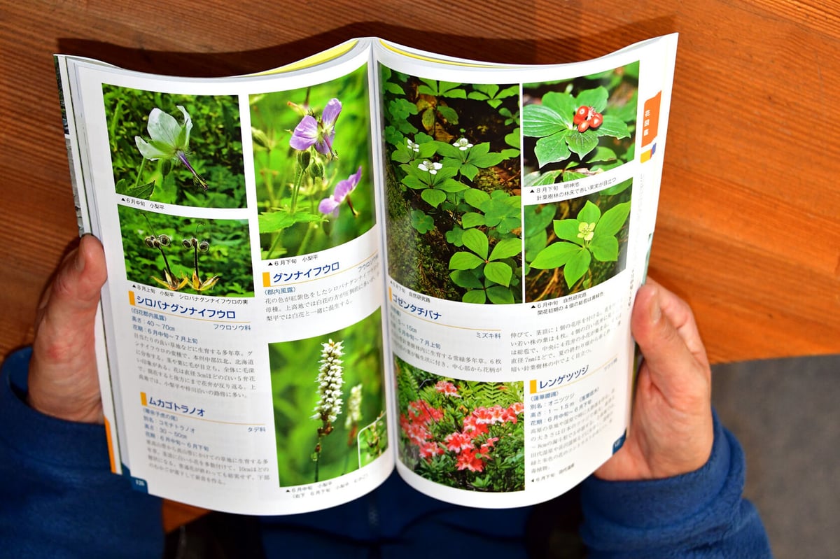 花の図鑑 上・下巻セット 阿刀田高 【稀少本】