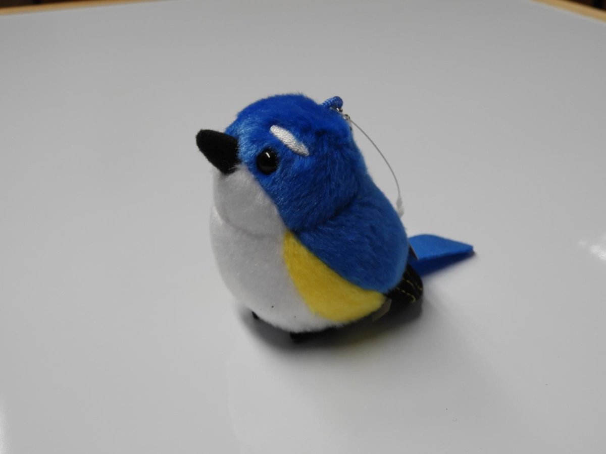 ルリビタキぬいぐるみ | Natural Parks Foundation 上高地オンラインストア