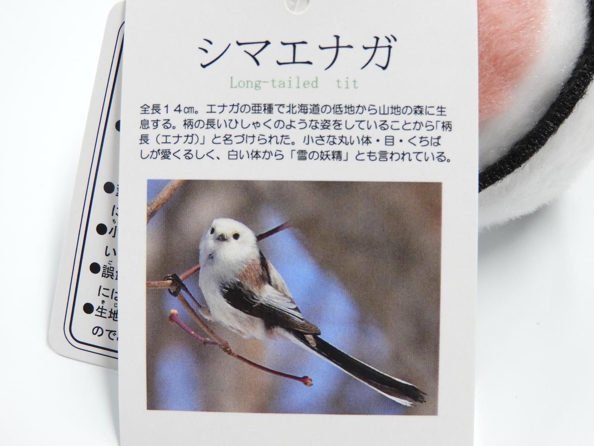 シマエナガ  20個 fit=scale-down,w=1200