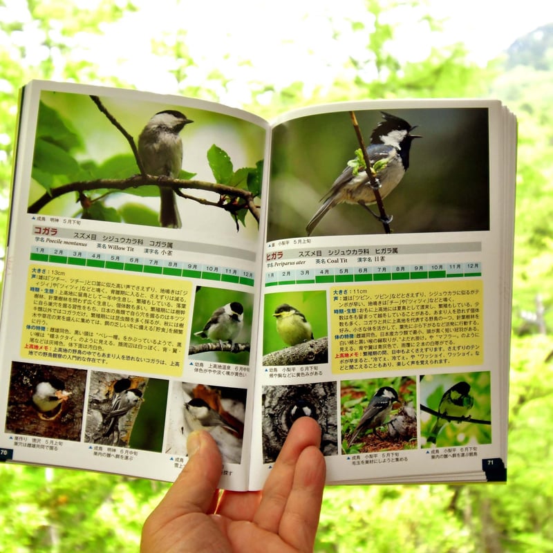 書籍】上高地の野鳥 WILD BIRDS OF KAMIKOCHI【増補改訂版】前田篤史 撮