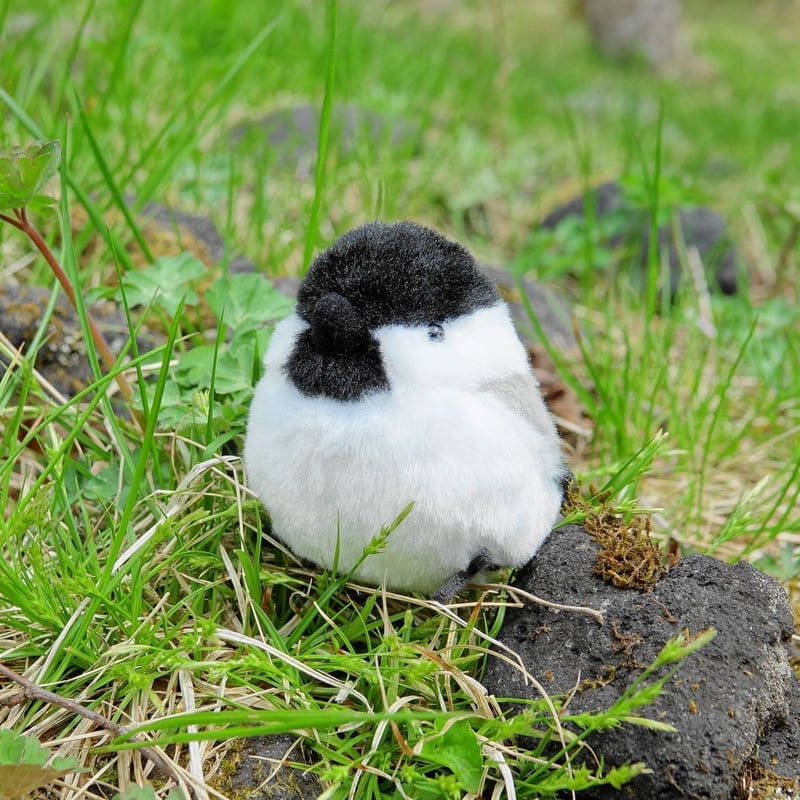 コガラぬいぐるみ | Natural Parks Foundation 上高地オンラインストア