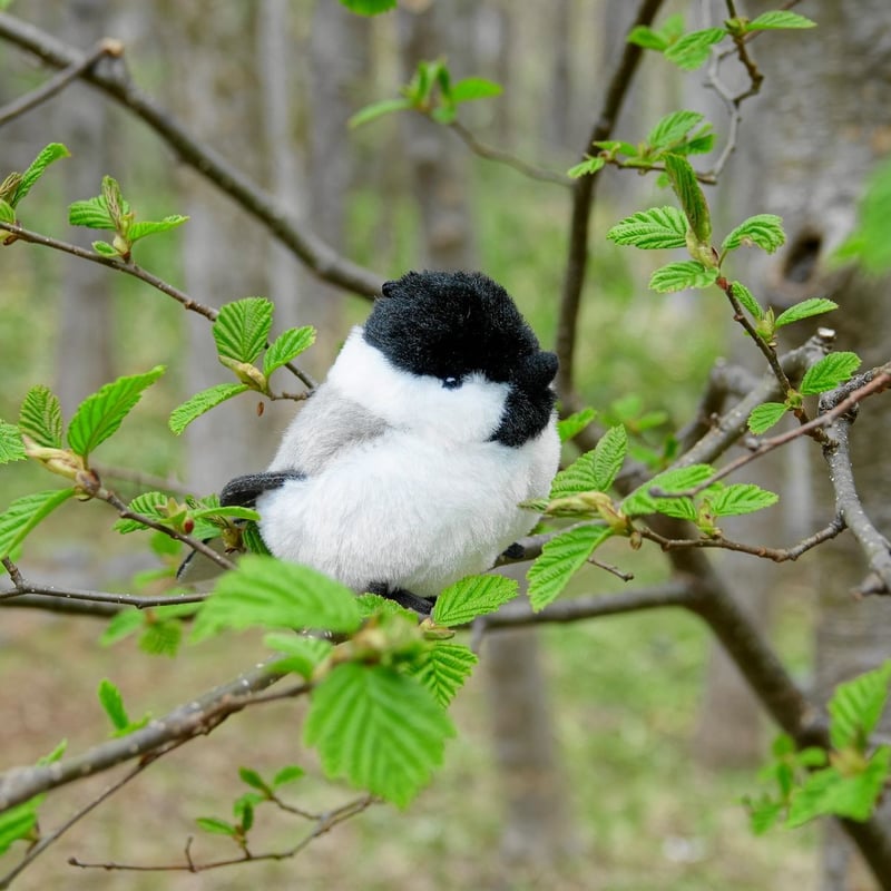 コガラぬいぐるみ | Natural Parks Foundation 上高地オンラインストア