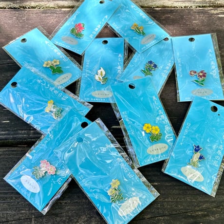 CATEGORY バッジ | Natural Parks Foundation 上高地オンライ