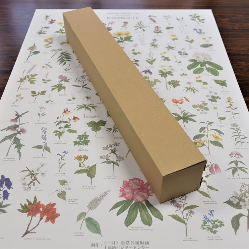上高地の花 100 ポスター A1サイズ | Natural Parks Foundation