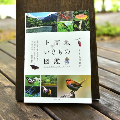CATEGORY NPF上高地オリジナル | Natural Parks Foundation