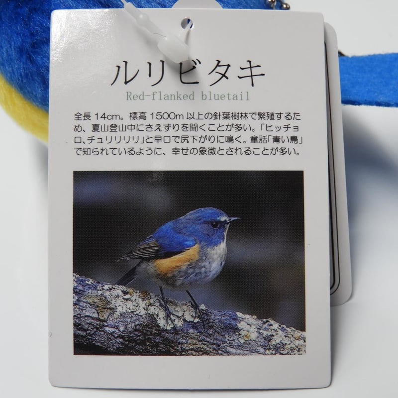 青い鳥のぬいぐるみ 約20cm ルリビタキぬいぐるみ | Natural Parks Foundation 上高地