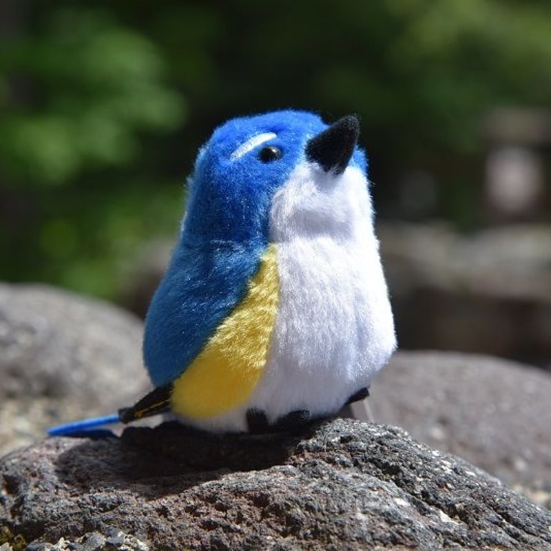 ルリビタキぬいぐるみ | Natural Parks Foundation 上高地オンラインストア