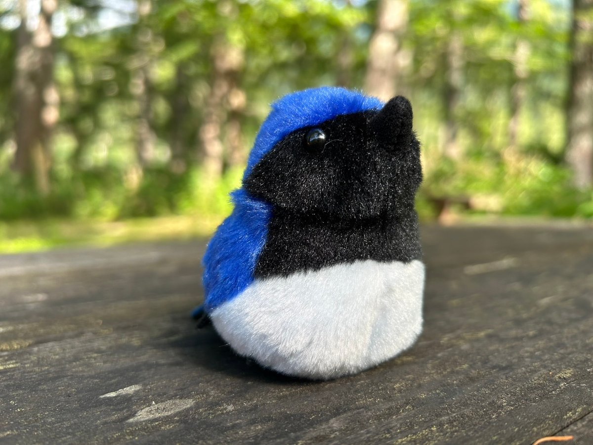 オオルリぬいぐるみ | Natural Parks Foundation 上高地オンラインストア