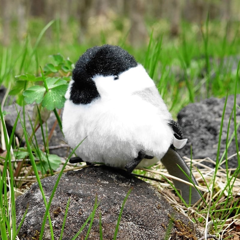 コガラぬいぐるみ | Natural Parks Foundation 上高地オンラインストア