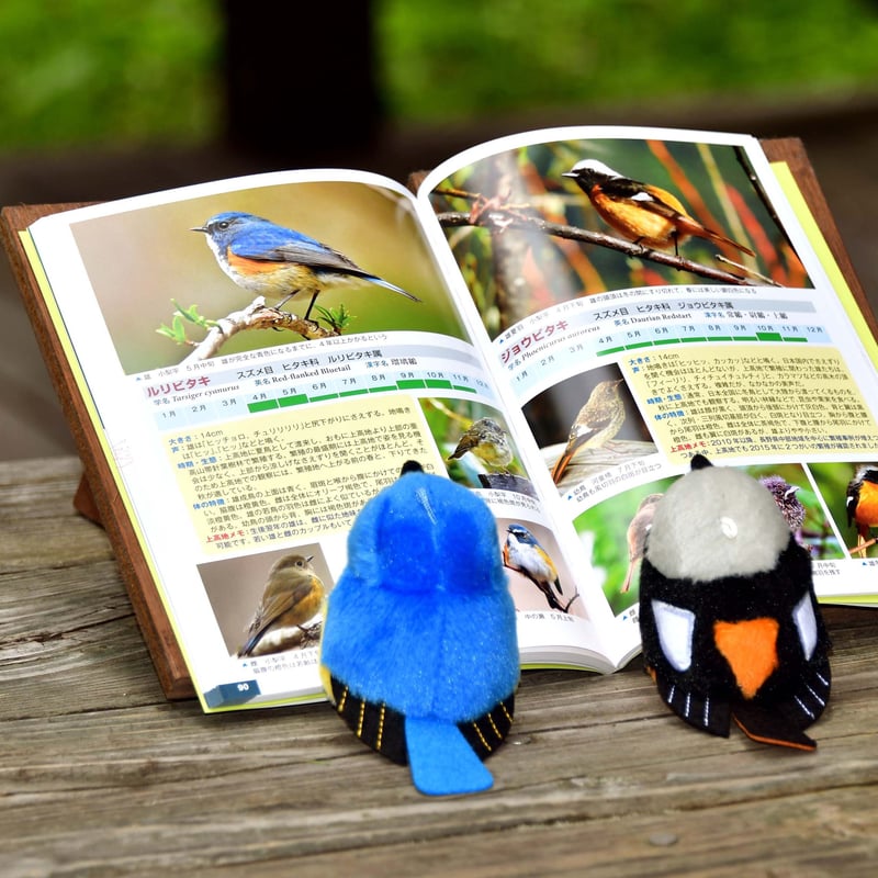 書籍】上高地の野鳥 WILD BIRDS OF KAMIKOCHI【増補改訂版】前田篤史 撮