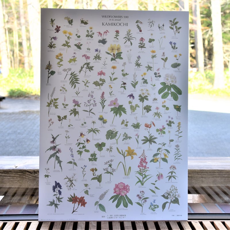 春コムギ ポスター 11月14日(木)12時よりWEBショップにて、村上隆新作ポスター『カゴに