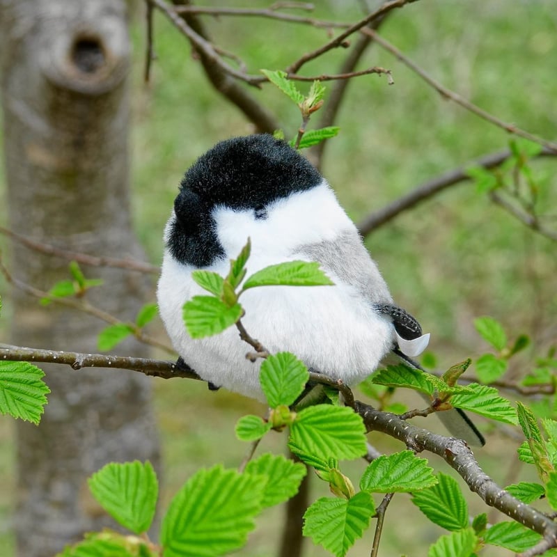 コガラぬいぐるみ | Natural Parks Foundation 上高地オンラインストア
