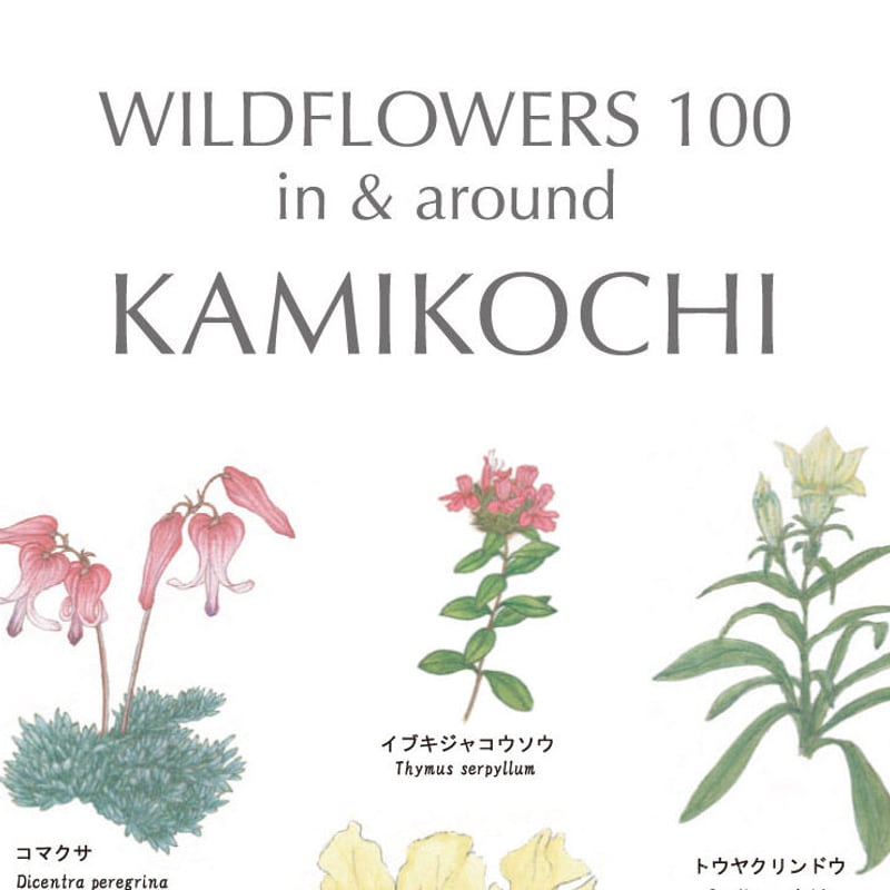 上高地の花 100 ポスター A1サイズ | Natural Parks Foundation