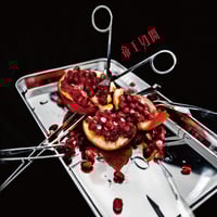 コドモドラゴン】20th maxi single「蛾」Atype【初回限定盤