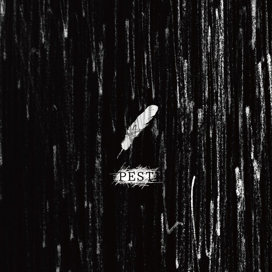5ed6064234ef015cfefeba7e