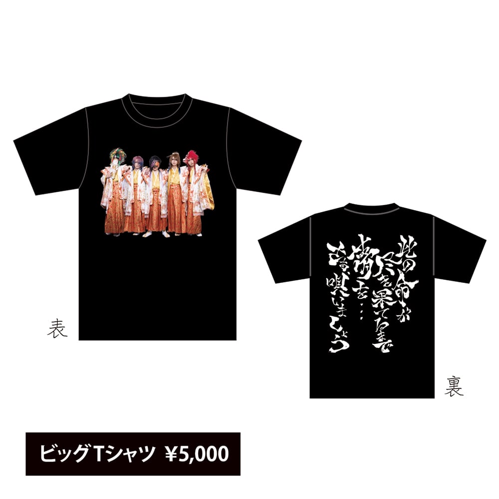 Royz 6周年Tシャツ Royz 15周年 Tシャツ 半袖 Baseball ゲーム