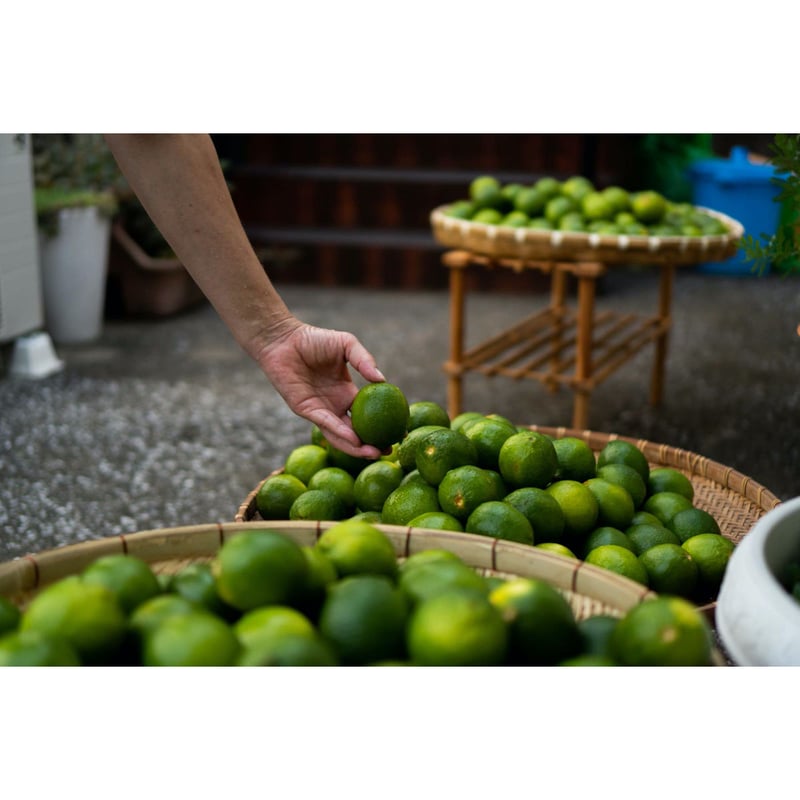 イヨシコーラ酎 45% 300ml 化粧箱付 | 大山甚七商店オンラインストア