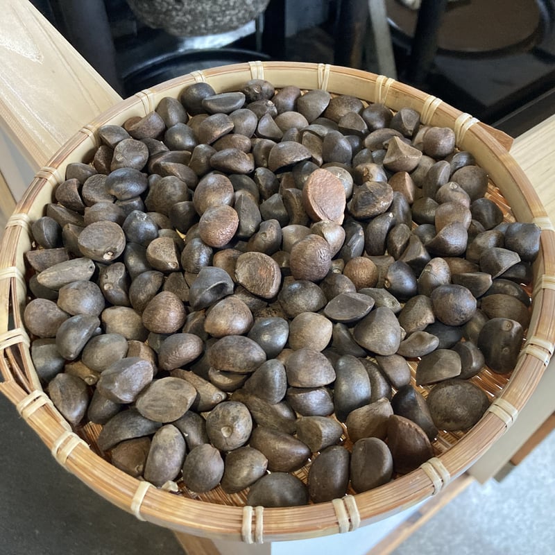 ①🌺高田製油所さんの三原椿油ギフト🌺 ✨椿油100％✨ 食用1本＋コスメ
