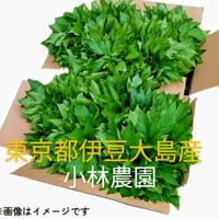 リクエスト対応！送料込み！🌊伊豆大島産🍀明日葉🍀