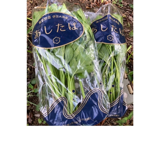 リクエスト対応！送料込み！🌊伊豆大島産🍀明日葉🍀